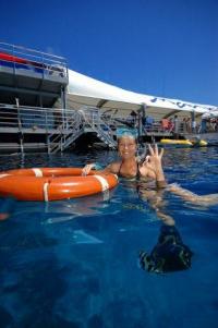 Reef Magic Cruises - Snorkeller & Marine World.jpg