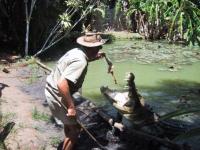 3 Johnstone River Crocodile Farm.jpg