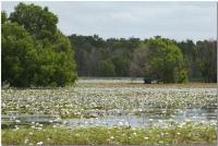 Lakefield-National-Park.jpg