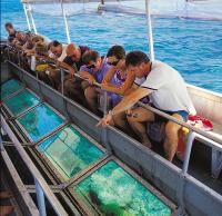 glass bottom boat - Sunlover Reef Cruises.jpg