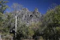 Chillagoe Caves.jpg