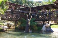 Rainforestation - Wildlife Park - Jumping Jack crocodile.jpg
