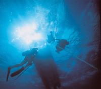 sun-kist-underwater-divers.jpg