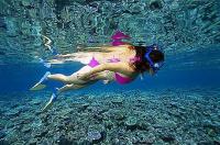Reef Quest Snorkel.jpg