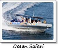 ocean-safari.jpg