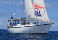 Rum Runner under sail.jpg