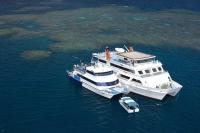 Reef Encouter transfer boat.jpg