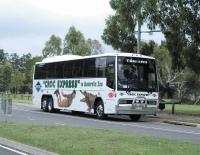Australia_Zoo_Croc_bus.jpg