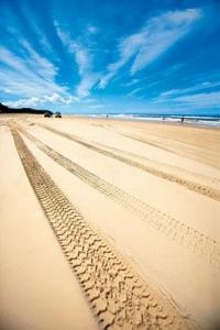 sand tracks.jpg