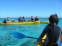 Sea kayak with the Dolphins.jpg