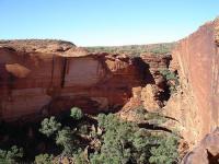 Kings Canyon Wattarka.jpg