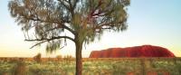 CroppedImage658276-Uluru-Sunrise.jpg
