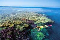 snorkel-barrier-reef.jpg