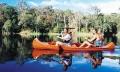 Rainforest, Wildlife and Canoeing Tour (*22)