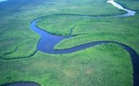 Daintree river wetlands.jpg