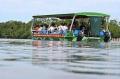2 Day 1 Night Daintree Rainforest & Half Day Reef Tour - departing from Cairns and Port Douglas (#168)