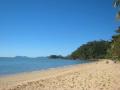 Cairns to Palm Cove Transport and Airport Transfers (#289)