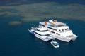 *Great Barrier Reef Encounter - Stay overnight or longer on the reef for scuba diving or snorkelling (#338)