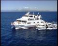 Overnight Great Barrier Reef Snorkel and Scuba Dive Tour (*223)