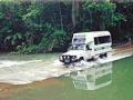 Cape Tribulation 4WD Tour for small groups (#364)