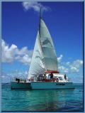 Sail and Snorkel Tour to the Great Barrier Reef - Small Group max 20 people (#384)