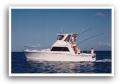 Heavy Tackle Sportsfishing - Sole Charters (#401)