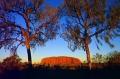 Ayers Rock (Uluru) Sunrise and Guided Cultural Walk Tour  (*585)