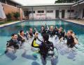  5 Day PADI Learn to Scuba Dive Course - The best learn to scuba dive course in Cairns (#110)