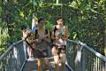 4 Day Cairns Tour Package- Four of the best Tours: No Hotel included (Reef, Kuranda, Daintree, and Highlands) (*158)