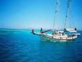 2 Day 1 Night Sailing Great Barrier Reef Tour: Max 12 people (#85)