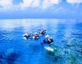 4 Day PADI Learn To Dive Course - The Best Priced Learn to Dive course in Cairns (#108)