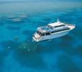 Cairns' Best 3 Day 2 Night Liveaboard Reef Trip for Snorkellers and Scuba Divers (#174)