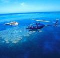 Port Douglas Half Day Reef Tour - Fly by helicopter one way, or both ways! (#60)