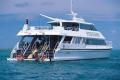 Breathtaking Poseidon Port Douglas Dive & Snorkel Tour (#190)